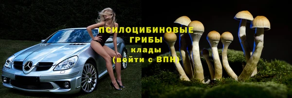 PSILOCYBIN Навашино