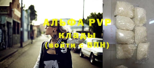 прущие грибы Наволоки