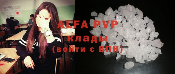 прущие грибы Наволоки