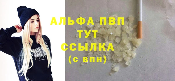 прущие грибы Наволоки