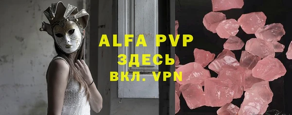 прущие грибы Наволоки