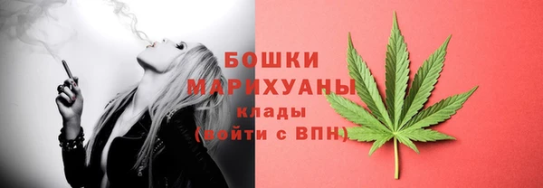 PSILOCYBIN Навашино