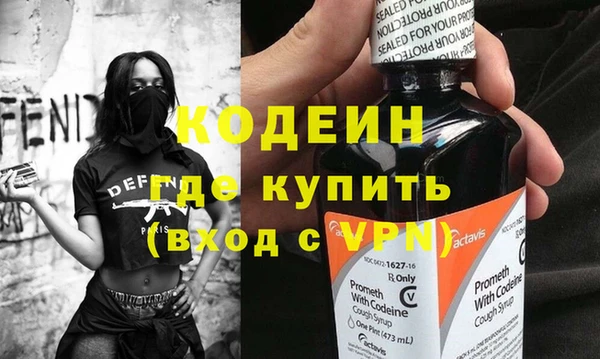 прущие грибы Наволоки