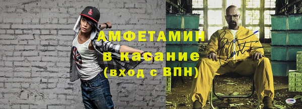 прущие грибы Наволоки