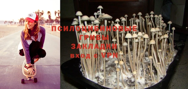 PSILOCYBIN Навашино
