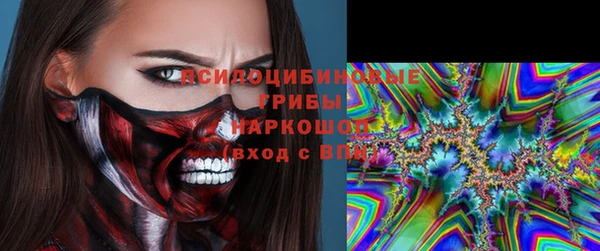 PSILOCYBIN Навашино
