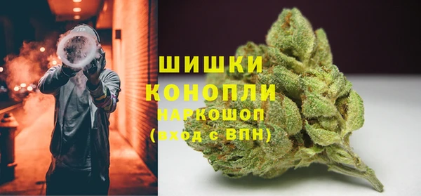 PSILOCYBIN Навашино