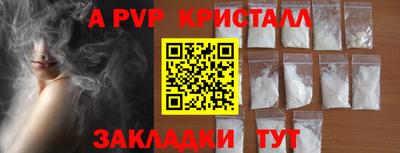 спайс Кингисепп