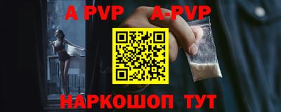 спайс Кингисепп