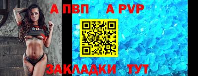 спайс Кингисепп