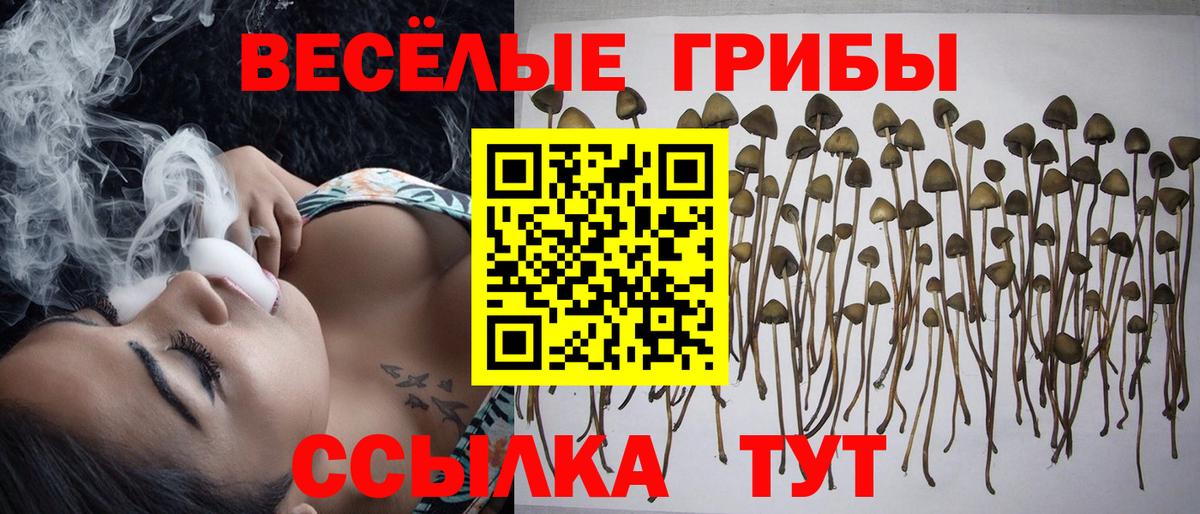 Галлюциногенные грибы ЛСД Туапсе